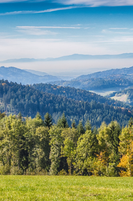 AdobeStock 125455726