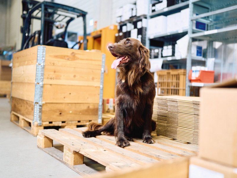 Une journée avec Filou